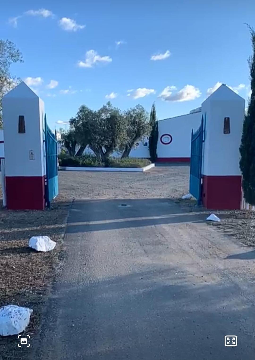 Quinta Da Chamine Hotel Ферейра до Алентежу Стая снимка