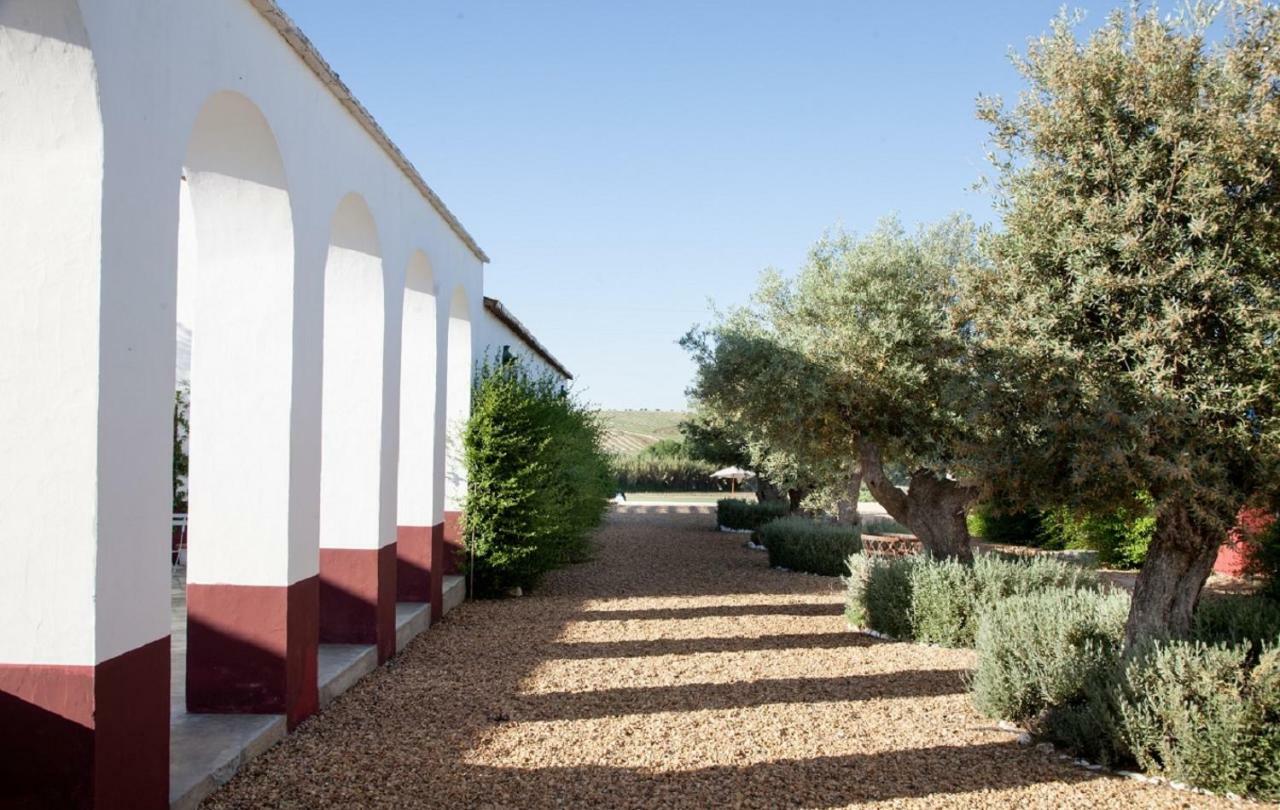 Quinta Da Chamine Hotel Ферейра до Алентежу Екстериор снимка